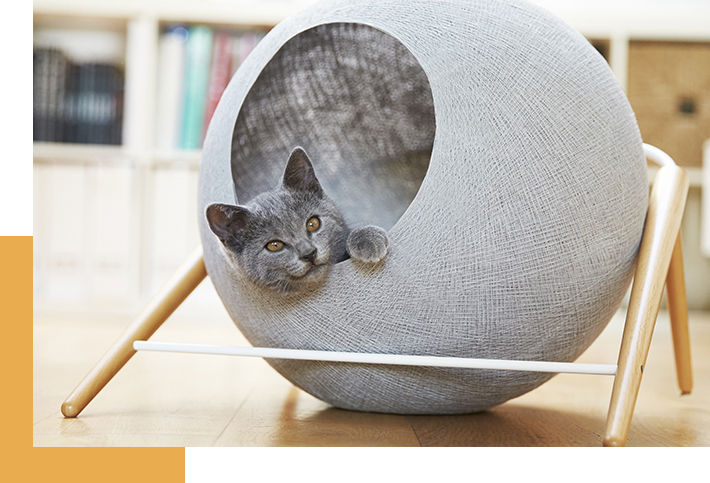 meyou paris cat ball